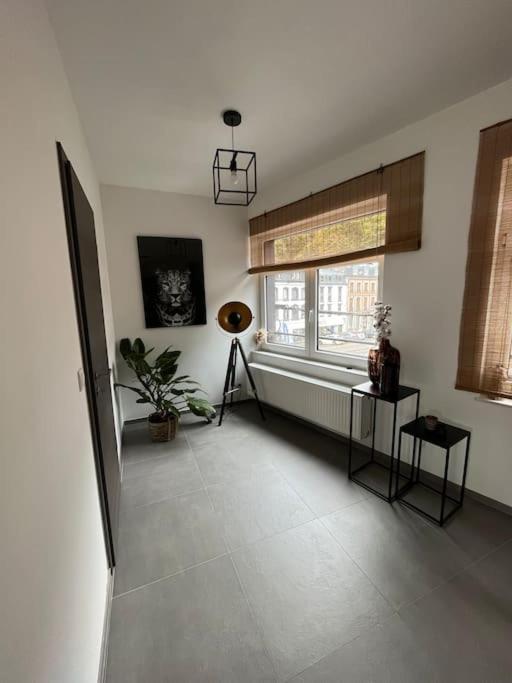 Duplex Spacieux Centre-Ville De ספא מראה חיצוני תמונה