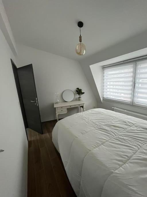 Duplex Spacieux Centre-Ville De ספא מראה חיצוני תמונה